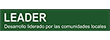 Leader