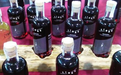 Abejas trashumantes para elaborar licor de miel en el vivero de empresas agroalimentarias de Adecuara en Biescas