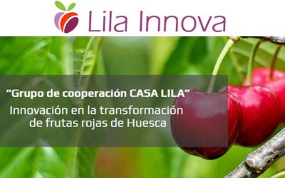 TABLÓN DE ANUNCIOS. Jornada «Transformación de frutos rojos de Huesca como forma de Adaptación al Cambio Climático»