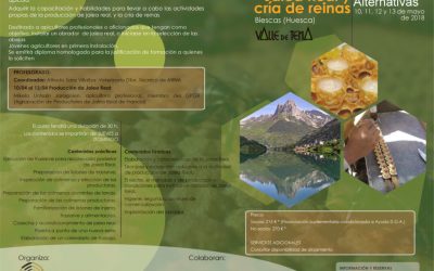 Formación sobre producción de jalea real y cría de abejas reinas en el vivero de Biescas