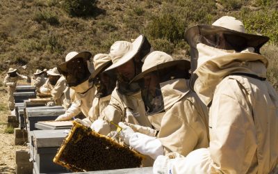 10 alumnos del taller de empleo “Jambre de Abejetas” de Atades en Ascara completan su formación en el vivero de Biescas
