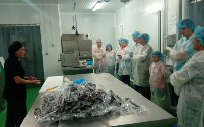 El Valle del Baztán toma ideas en Jaca para su futuro vivero