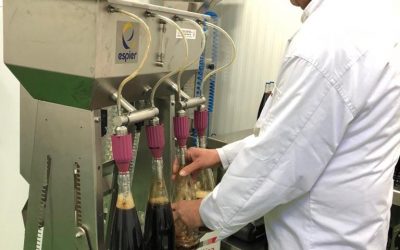 Morro caliente, vermut montañés elaborado en el vivero agroalimentario de Biescas
