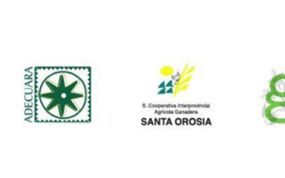 Agricultura ecológica, innovación social y gastronomía apuestan por aunar esfuerzos con la recuperación de cultivos